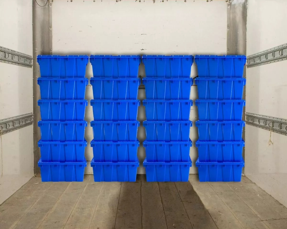 Untitled design – 2025-02-24T164141.211 Untitled design - 2025-02-24T164141.211